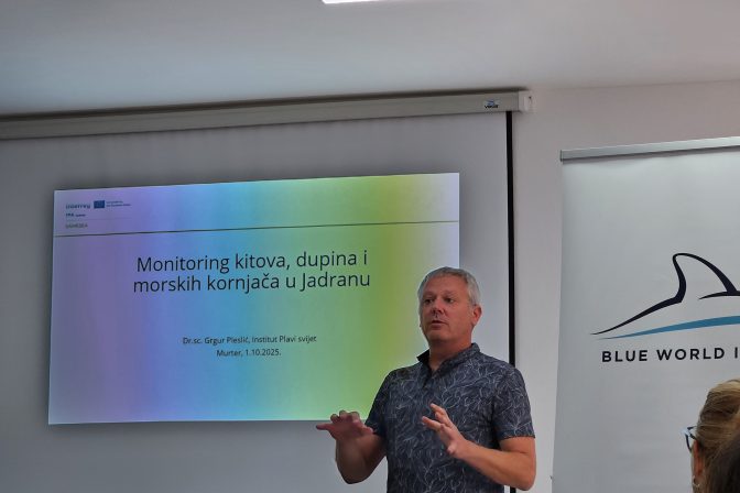 Radionica o praćenju dupina, morskih kornjača i sredozemne medvjedice u Jadranu