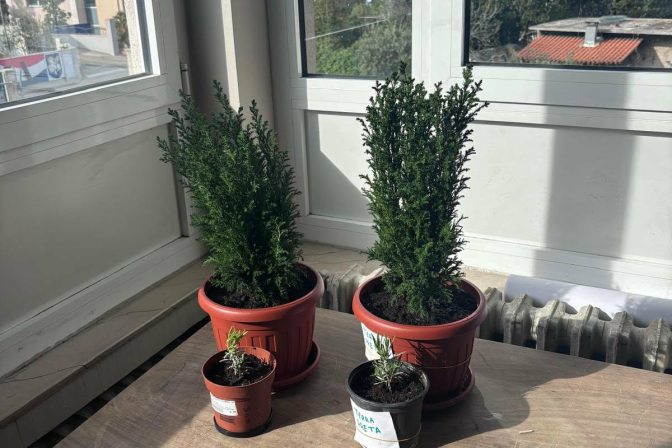 1b594bc8-3b15-49d7-a2cd-2ea84053d489