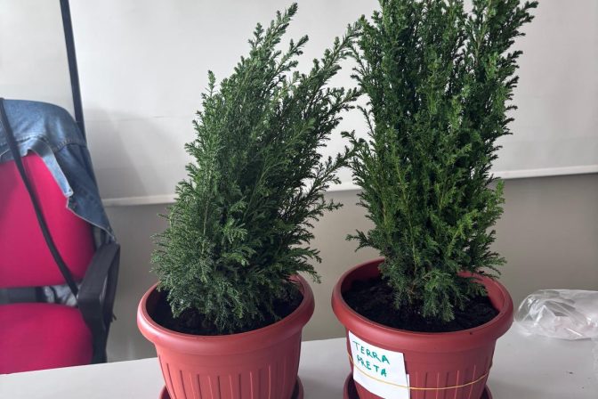 24bb1348-c1ef-4767-a3da-b8c949ca266d