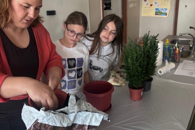 334339e4-454a-4ea6-b3f3-2f36767aac59