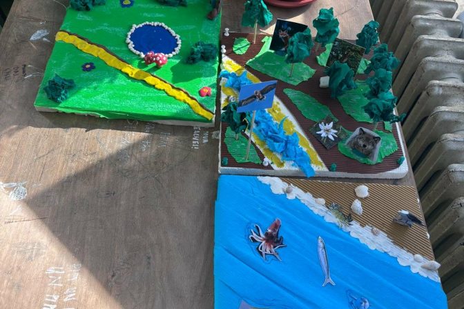 2025./2026. – 4. Eko-patrola u OŠ Vodice: bioraznolikost i ekosustavi