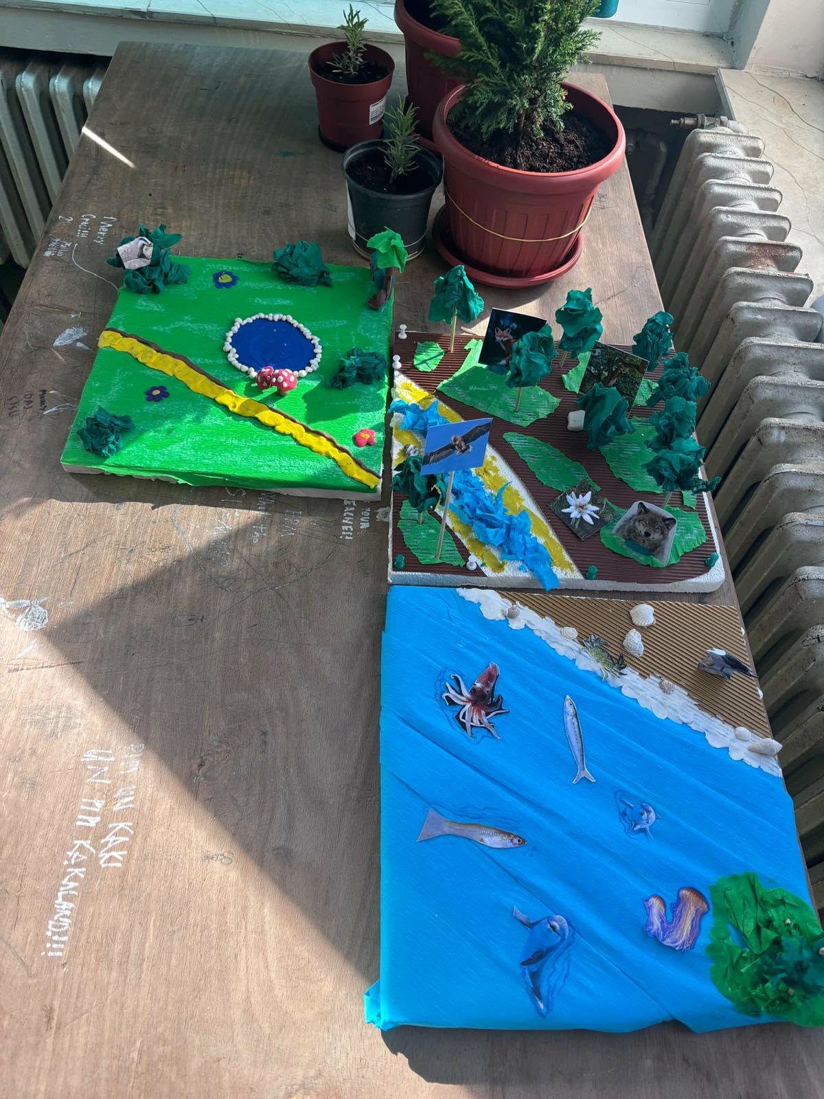 2025./2026. – 4. Eko-patrola u OŠ Vodice: bioraznolikost i ekosustavi