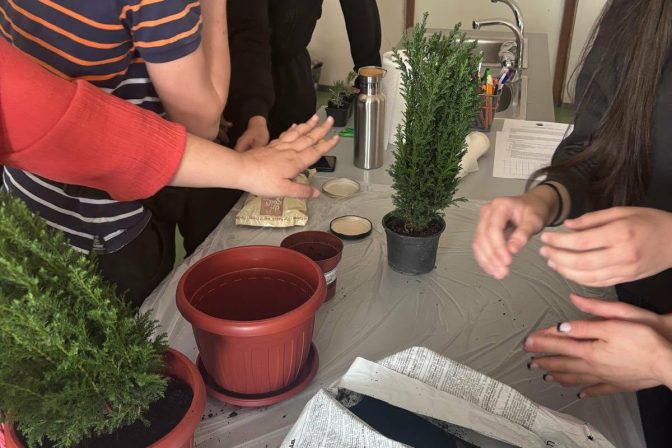 626fb2db-c245-45b3-b3c5-5de454e7c634 (1)