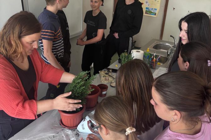 6dfd0604-b811-4334-98e8-d6509857cb19