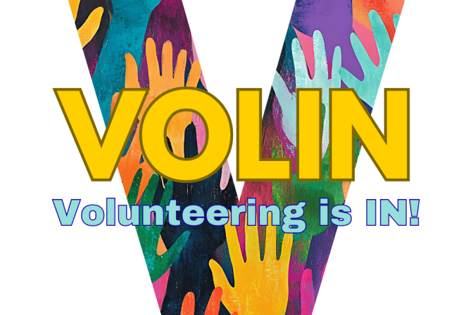 VOLIN_LOGO