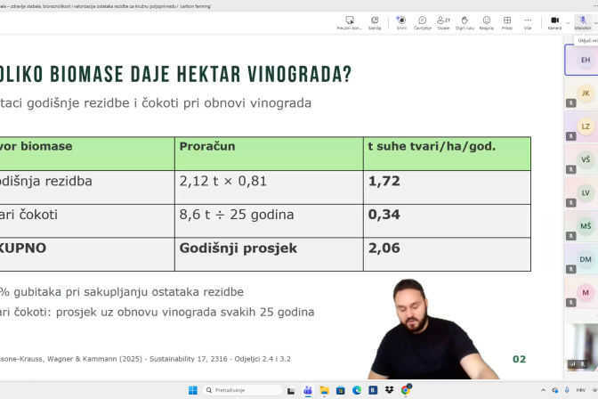 Snimka zaslona (161)
