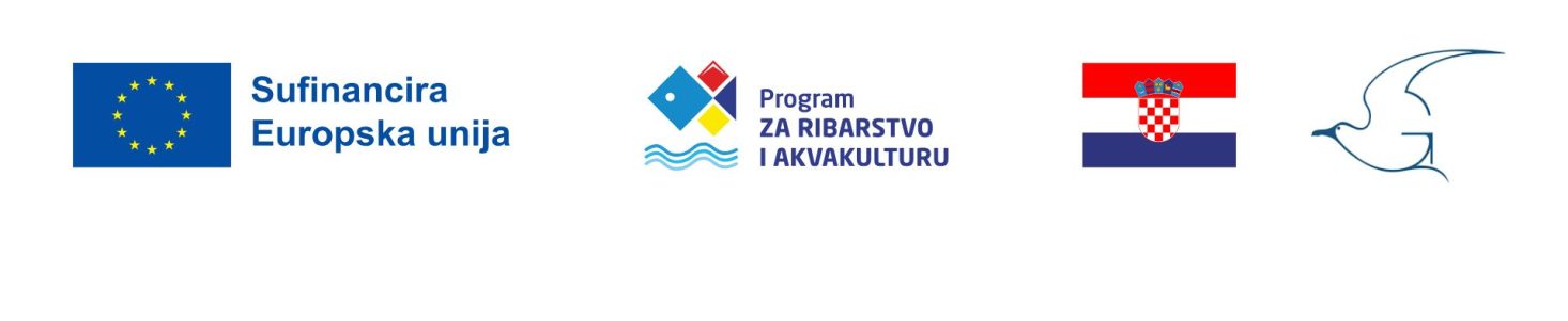 Untitled design (2)